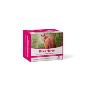 RIBES-HORSE