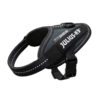 PETTORINA-JULIUS-K9-IDC-POWERHARNESS-COLORE-NERO-(taglia-3XS)