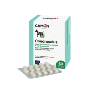 CONDROSALUS-(60-cpr)