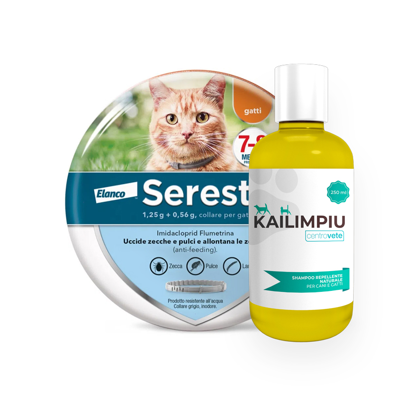 SERESTO GATTI (38 cm) + KAILIMPIU (250 ml) - Collare e shampoo per gatti
