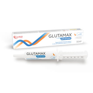 GLUTAMAX-ADVANCED-PASTA-(30-ml)