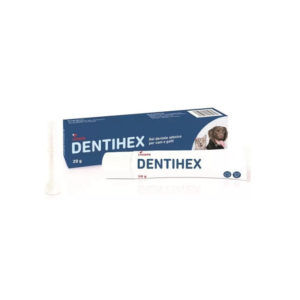 DENTIHEX-GEL-DENTALE-ADES-CG-(20-gr)